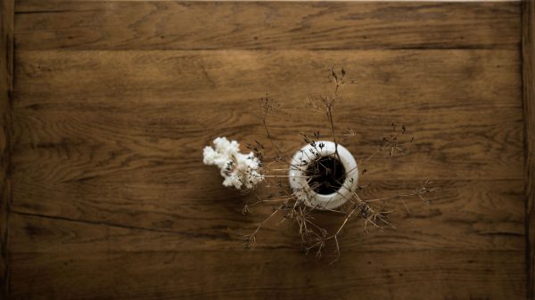 Table en bois brut rénovée vintage poncée et vernie. Canapé blanc, malle ancienne, corail et fleurs séchées dans un pot à moutarde en grès